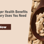 Dried Ginger Health Benefits and Culinary Uses You Need to Know