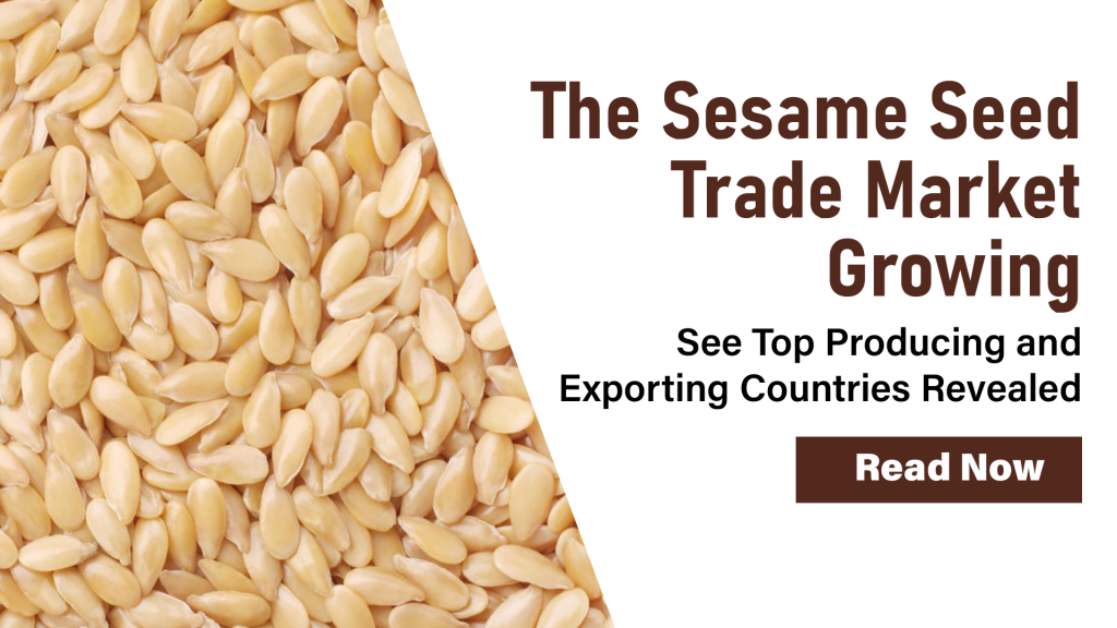 Sesame Seed Trade Market Growth – Top Producing and Exporting Countries Revealed