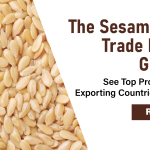 Sesame Seed Trade Market Growth – Top Producing and Exporting Countries Revealed