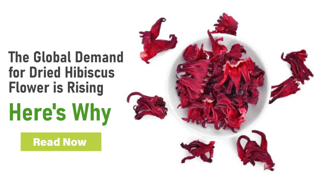 Dried Hibiscus Flower Demand is Rising – Here’s Why the World Can’t Get Enough