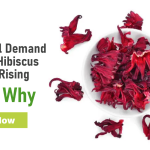 Dried Hibiscus Flower Demand is Rising – Here’s Why the World Can’t Get Enough