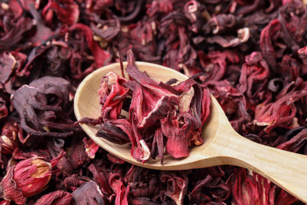 How to Buy Hibiscus Flower Export in Nigeria: Guide for International Buyers