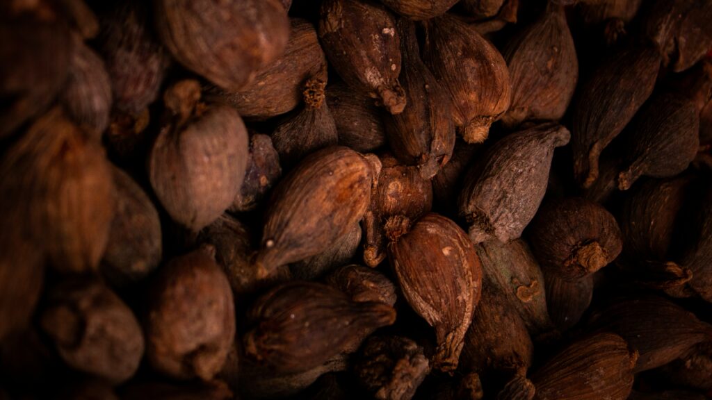 How to Buy Cocoa in Bulk in Nigeria: Guide for International Buyers