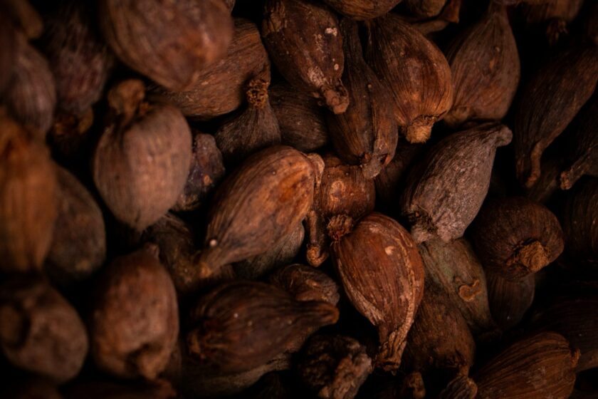 How to Buy Cocoa in Bulk in Nigeria